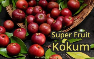 Kokum