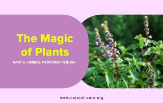 The Magic of Plants Part 2 Herbal Medicines in India